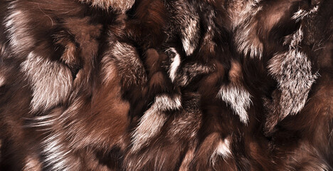 Natural fur texture