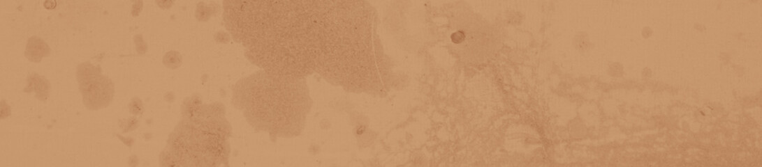 abstract brown color background for design. cocoa backdrop