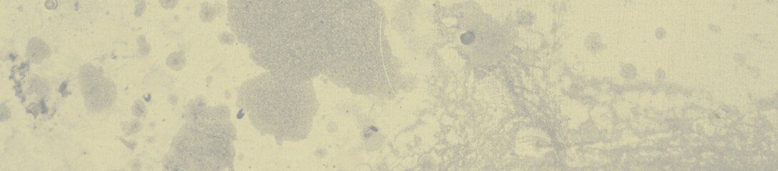 abstract grey and pale yellow colors background for design