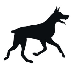Fototapeta premium Vector hand drawn running doberman dog silhouette isolated on white background