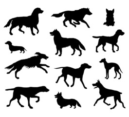 Vector set bundle of hand drawn dog silhouette isolated on white background