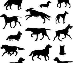 Vector seamless pattern of hand drawn dog silhouette isolated on white background
