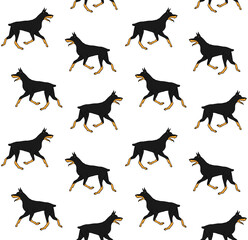 Vector seamless pattern of hand drawn doodle sketch colored running doberman dog isolated on white background