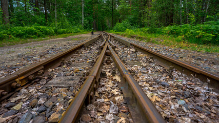Fototapeta premium Bahnschienen