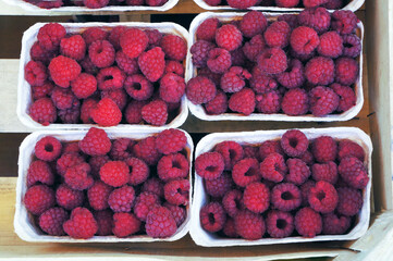Fresh ripe raspberries on farmer's market.