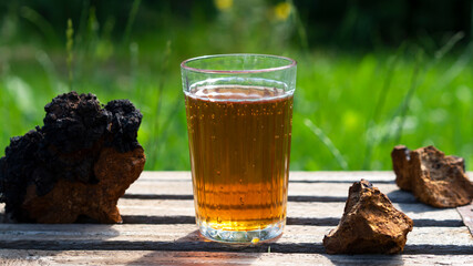 Superfood trendy organic Chaga mushroom and chaga mushroom tea in a glass with pieces of natural birch mushroom on a wooden background. Wellness drink. Plant inonotus obliquus is good for health care.