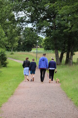 Familie beim Spaziergang im Park.