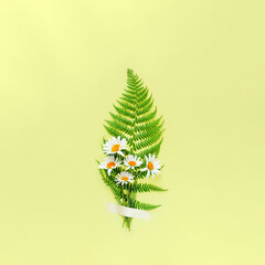 Cosy bouquet of rural chamomile flowers with fern on yellow background with copy space. Minimalistic concept.