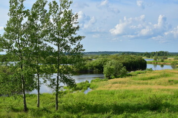 Obraz premium View of the river valley. Three aspens in the foreground. 