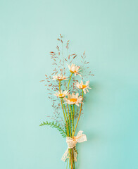 Cosy bouquet of chamomile flowers with rural grass on turquoise background. Minimalistic concept.