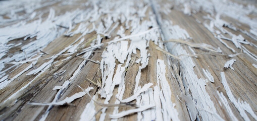 White paint peeling off over wooden surface