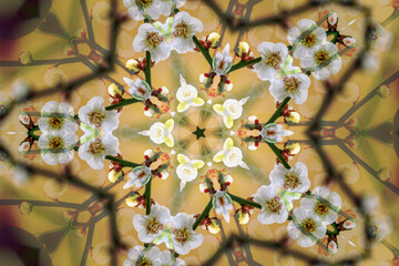 Kaleidoscope pattern with white blossoms in the beige background