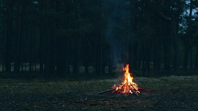 A Bonfire Burning in the Forest in Evening. Flaming Campfire. Fireplace in Nature - Static Shot, Slow Motion