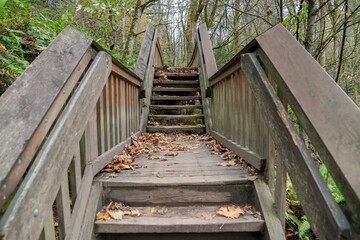 Straight stairway with central landing and handrailings in the forest of Tacoma in Washington