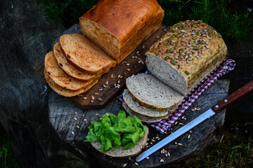healthy eating with multigrain bread