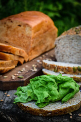 healthy eating with multigrain bread