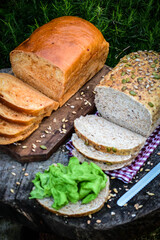healthy eating with multigrain bread