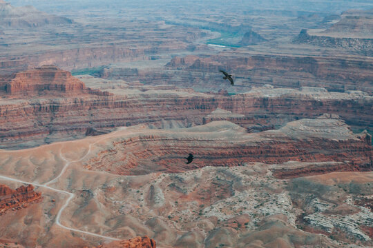 Birds Flying With Utah Desert In Background