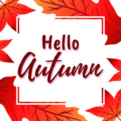 Vector background with hand lettering Hello autumn and leaves