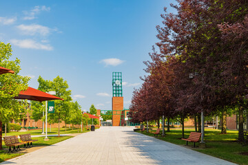 Sunny view of the famous Binghamton University