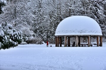 Winter in the park. Snow covered gazebo and pine trees in Grass Lawn Park, Redmond, Washington, USA