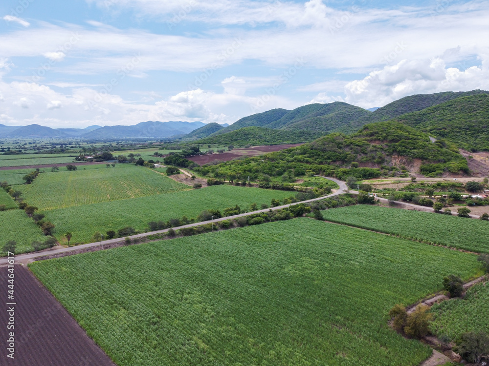 Poster toma aerea de campos de cañaverales de caña de azucar en el valle de autlan de navarro jalisco mexic