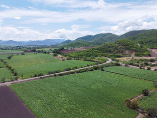 Toma aerea de campos de cañaverales de caña de azucar en el valle de autlan de navarro jalisco mexico