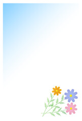 残暑見舞いのはがき 　コスモス