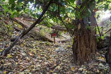 Private property in the forest with log barriers at Tacoma, Washington