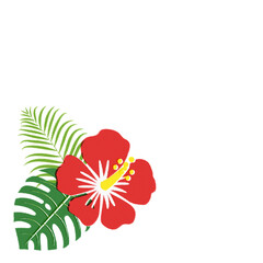Illustration of hibiscus and monstera (white background, vector, cut out)