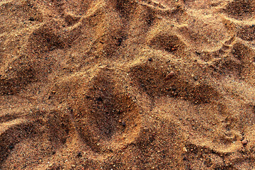 Large beach sand. Texture. Sand background