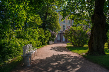 Fototapeta na wymiar View of the alley with a bench and blooming lilac bushes in the Catherine Park in Tsarskoye Selo on a sunny spring day. Pushkin, St. Petersburg. Russia.