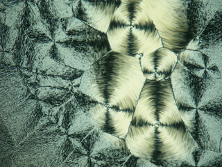 Closeup shot of liquid crystal under polarized light microscope showing ordered circular pattern