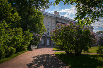 Fototapeta na wymiar View of the alley with a bench and blooming lilac bushes in the Catherine Park and the Catherine Palace in the background in Tsarskoye Selo on a sunny spring day. Pushkin, St. Petersburg. Russia