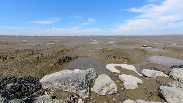 a view of the Wadden Sea in Germany