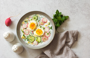 Refresing cold summer radish cucumber potato eggs and yogurt soup close up