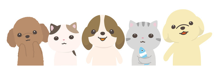 猫と犬　整列カメラ目線　