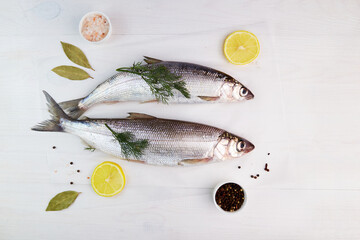 Raw fresh fish with spices and ingredients for cooking on a white background. Baikal Omul. Top view.
