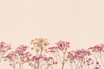 Minimal natural layout made with small pink flowers on beige colored background. Floral visuals with sunlight and shadows, pastel monochrome colored image with neutral tones. - obrazy, fototapety, plakaty