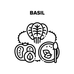 Basil Spice Vector Icon Concept. Basil Spice And Tomato Agricultural Vitamin Ingredients For Cooking Delicious Soup. Vegetable And Healthy Natural Vegetarian Food Black Illustration