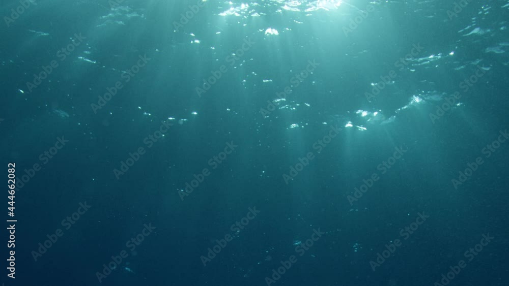 Poster light playing through the ocean surface seen from below. underwater background vfx element.