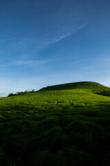 field and blue sky