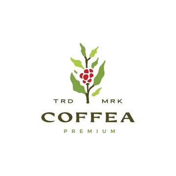 coffea coffee tree logo vector icon illustration