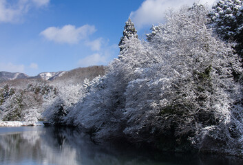 Fototapeta na wymiar 水辺の雪景色された森林