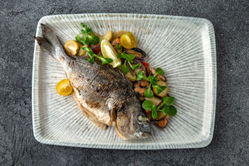 Dorada with steamed vegetables. Ready menu for the restaurant. Neutral gray blue textured background