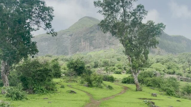 Walking Trail At The Green Meadow With A View Of Brahmagiri Mountain Of Western Ghats In India. aerial