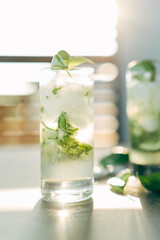 Gin tonic cocktail with cucumer and basil.