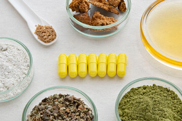 Close-up of medicines with ingredients in cups around them