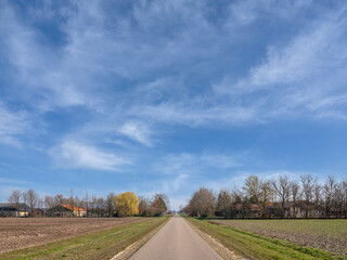 Agriculture, Flevoland Province, The Netherlands