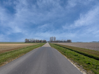 Fototapeta na wymiar Agriculture, Flevoland Province, The Netherlands